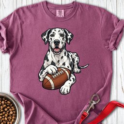 Harlequin Great Dane Football Premium Tee Gift For Dog Lover
