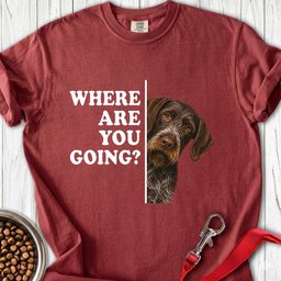 German Wirehaired Pointer Alert Premium Tee Gift For Dog Lover