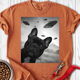 French Bulldog Ufo Premium Tee Gift For Dog Lover