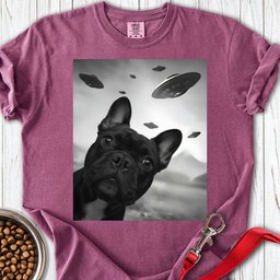 French Bulldog Ufo Premium Tee Gift For Dog Lover