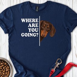 Dachshund Where Are You Going Chocolate And Tan T Shirt Gift For Dog Lover