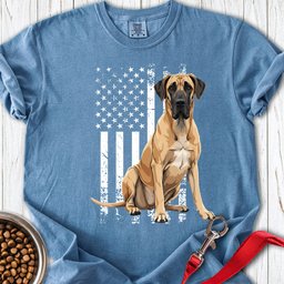 Great Dane US Flag Premium Tee Gift For Dog Lover