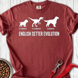 English Setter Evolution Premium Tee Gift For Dog Lover