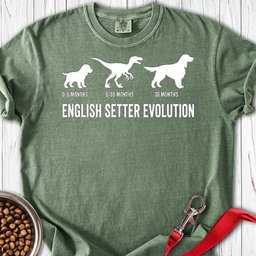 English Setter Evolution Premium Tee Gift For Dog Lover