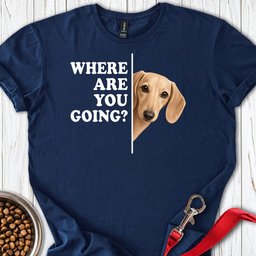 Dachshund Where Are You Going Cream T Shirt Gift For Dog Lover