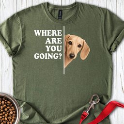 Dachshund Where Are You Going Cream T Shirt Gift For Dog Lover