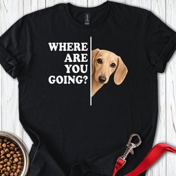 Dachshund Where Are You Going Cream T Shirt Gift For Dog Lover