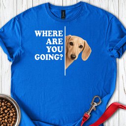 Dachshund Where Are You Going Cream T Shirt Gift For Dog Lover