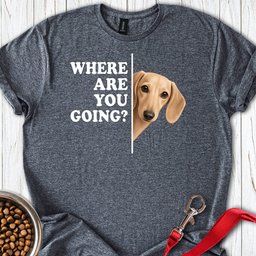 Dachshund Where Are You Going Cream T Shirt Gift For Dog Lover