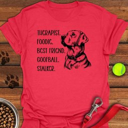 Funny Labrador Titles T Shirt Gift For Dog Lover