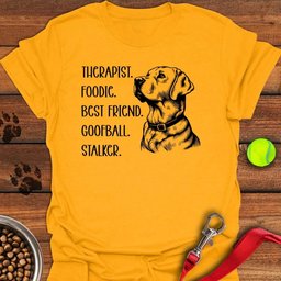 Funny Labrador Titles T Shirt Gift For Dog Lover