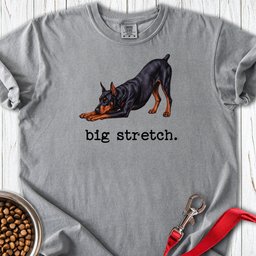 Doberman Pinscher Big Stretch Premium Tee Gift For Dog Lover