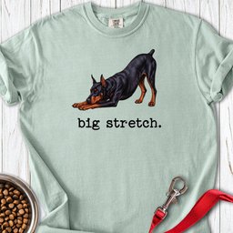 Doberman Pinscher Big Stretch Premium Tee Gift For Dog Lover
