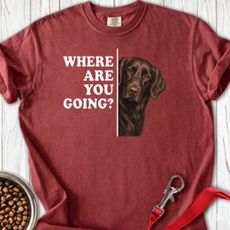 Flat Coated Retriever Where Are You Going Premium Tee Gift For Dog Lover