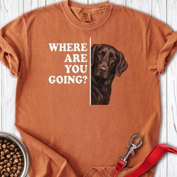 Flat Coated Retriever Where Are You Going Premium Tee Gift For Dog Lover