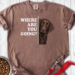 Flat Coated Retriever Where Are You Going Premium Tee Gift For Dog Lover