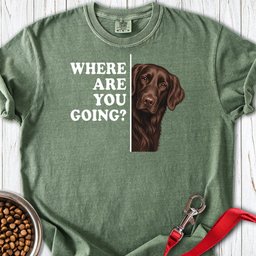 Flat Coated Retriever Where Are You Going Premium Tee Gift For Dog Lover