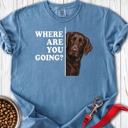 Flat Coated Retriever Where Are You Going Premium Tee Gift For Dog Lover