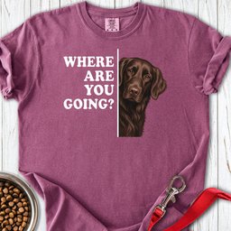 Flat Coated Retriever Where Are You Going Premium Tee Gift For Dog Lover
