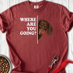 Dachshund Where Are You Going Chocolate And Tan Premium Tee Gift For Dog Lover