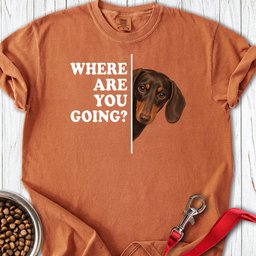 Dachshund Where Are You Going Chocolate And Tan Premium Tee Gift For Dog Lover