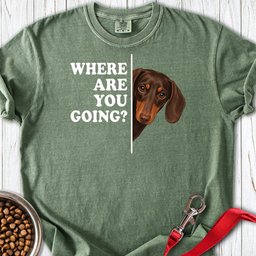 Dachshund Where Are You Going Chocolate And Tan Premium Tee Gift For Dog Lover
