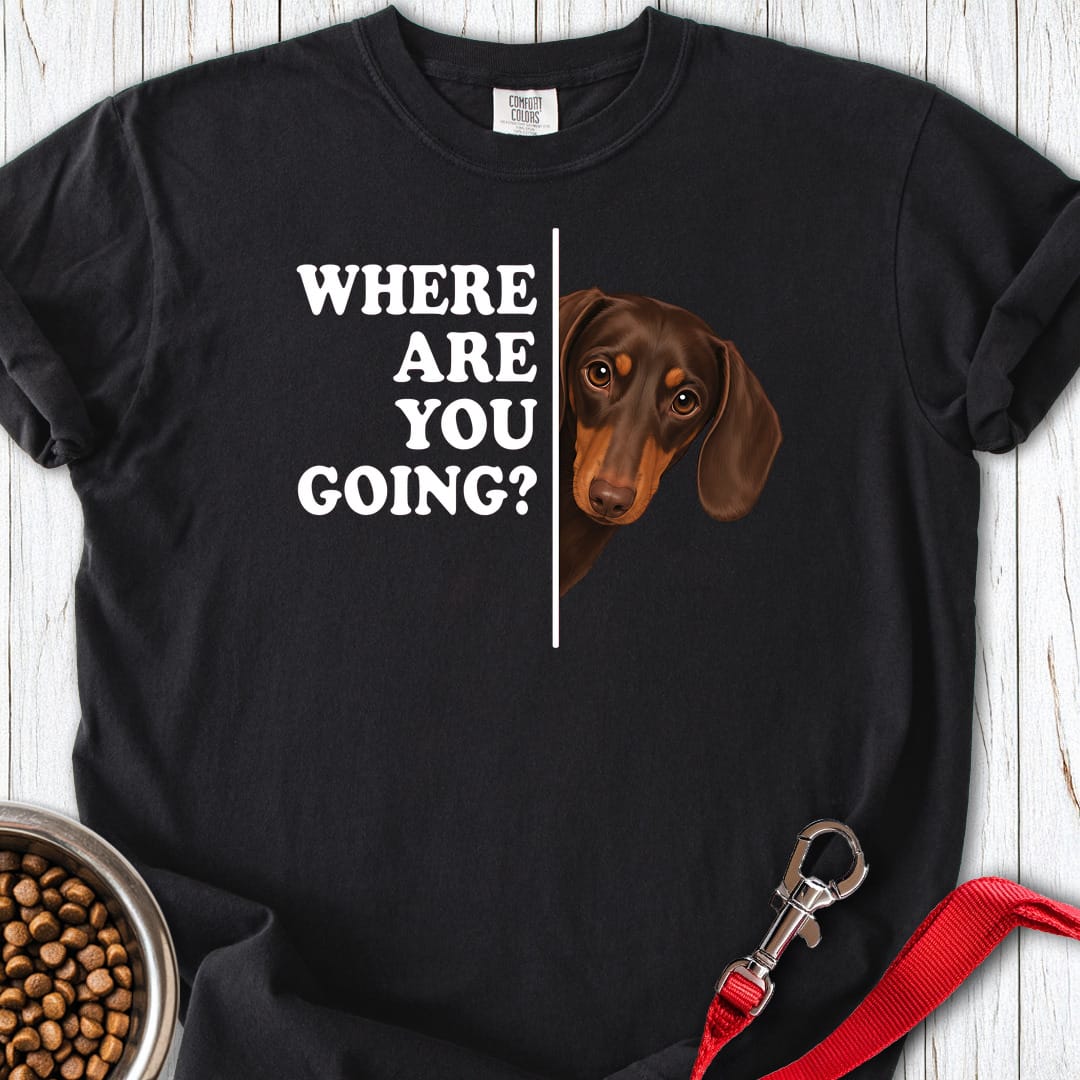 Dachshund Where Are You Going Chocolate And Tan Premium Tee Gift For Dog Lover