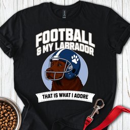 Football Chocolate Labrador T Shirt Gift For Dog Lover