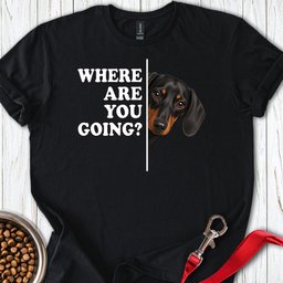 Dachshund Where Are You Going Black And Tan T Shirt Gift For Dog Lover