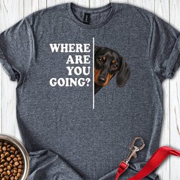 Dachshund Where Are You Going Black And Tan T Shirt Gift For Dog Lover