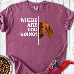 Dachshund Where Are You Going Red Premium Tee Gift For Dog Lover