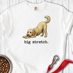 Golden Doodle Big Stretch Premium Tee Gift For Dog Lover
