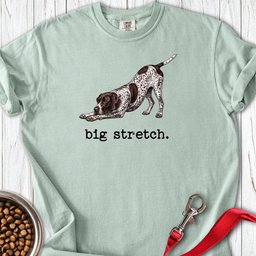 German Shorthaired Pointer Big Stretch Premium Tee Gift For Dog Lover