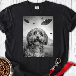 Havanese Ufo Premium Tee Gift For Dog Lover