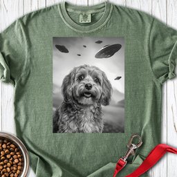 Havanese Ufo Premium Tee Gift For Dog Lover