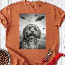 Havanese Ufo Premium Tee Gift For Dog Lover