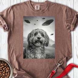 Havanese Ufo Premium Tee Gift For Dog Lover