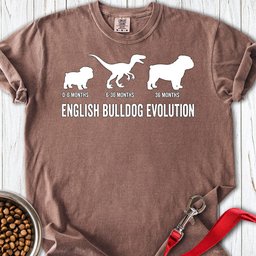 English Bulldog Evolution Premium Tee Gift For Dog Lover