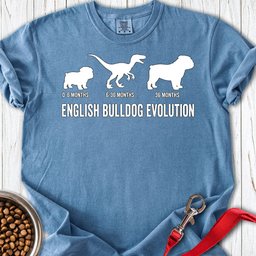 English Bulldog Evolution Premium Tee Gift For Dog Lover