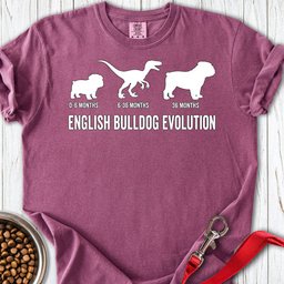 English Bulldog Evolution Premium Tee Gift For Dog Lover