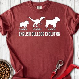 English Bulldog Evolution Premium Tee Gift For Dog Lover