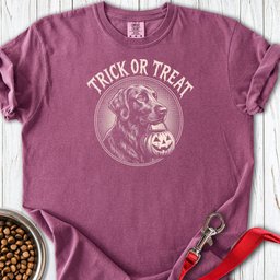 Flat Coated Retriever Trick Or Treat Premium Tee Gift For Dog Lover