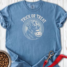 Flat Coated Retriever Trick Or Treat Premium Tee Gift For Dog Lover