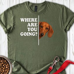 Dachshund Where Are You Going Red T Shirt Gift For Dog Lover