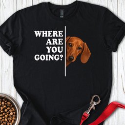Dachshund Where Are You Going Red T Shirt Gift For Dog Lover