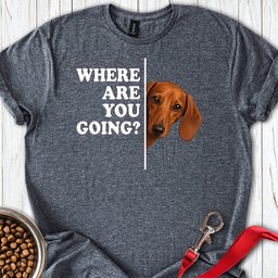 Dachshund Where Are You Going Red T Shirt Gift For Dog Lover