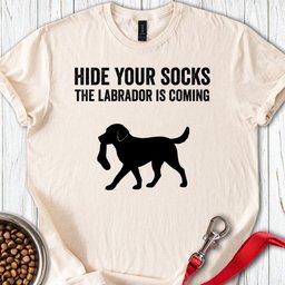 Hide Your Socks Labrador T Shirt Gift For Dog Lover