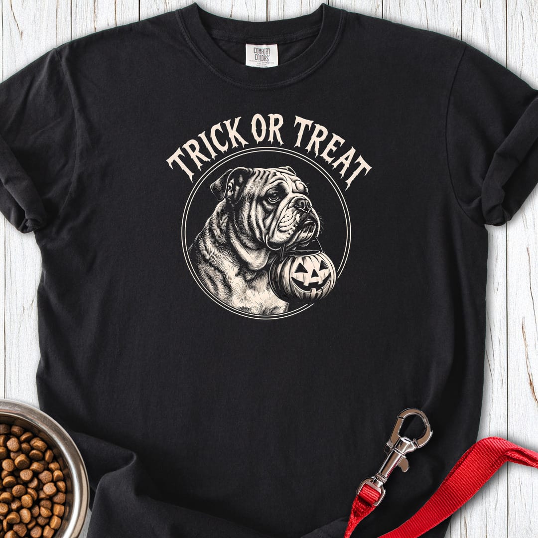 English Bulldog Trick Or Treat Premium Tee Gift For Dog Lover