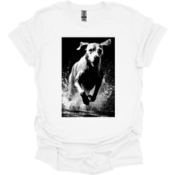 Bracco Italiano Puddle Dog T Shirt Gift For Dog Lover