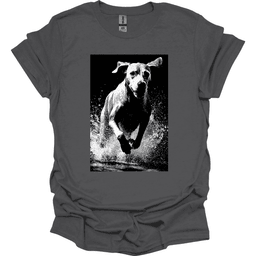 Bracco Italiano Puddle Dog T Shirt Gift For Dog Lover